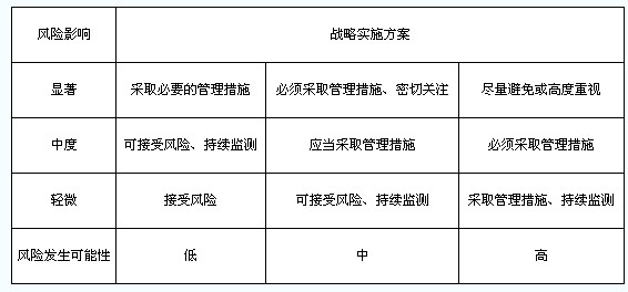 戰略風險評估及實施方案